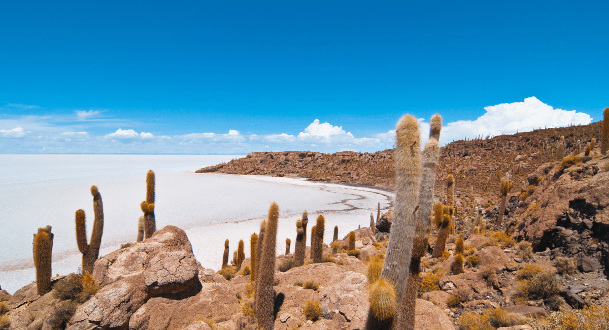 Destinos Baratos Para Viajar En Turismocity